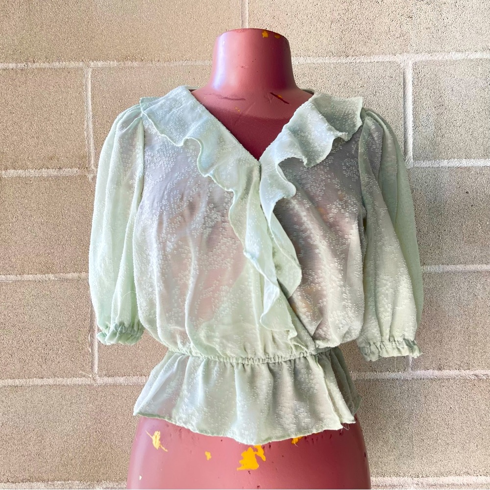 DYNAMITE sheer embroidered delicate puffed sleeves cropped top